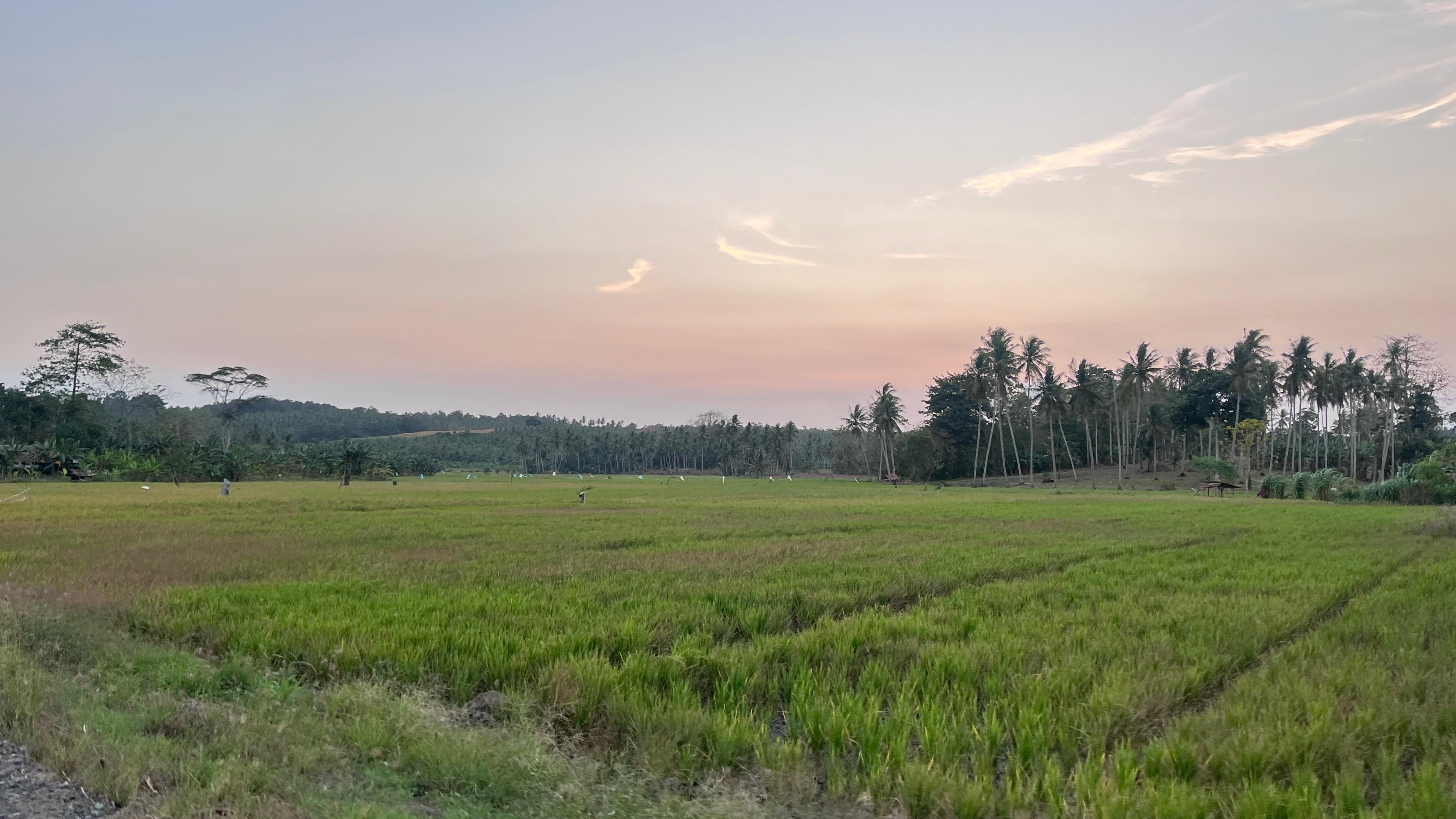 Pemandangan 1
