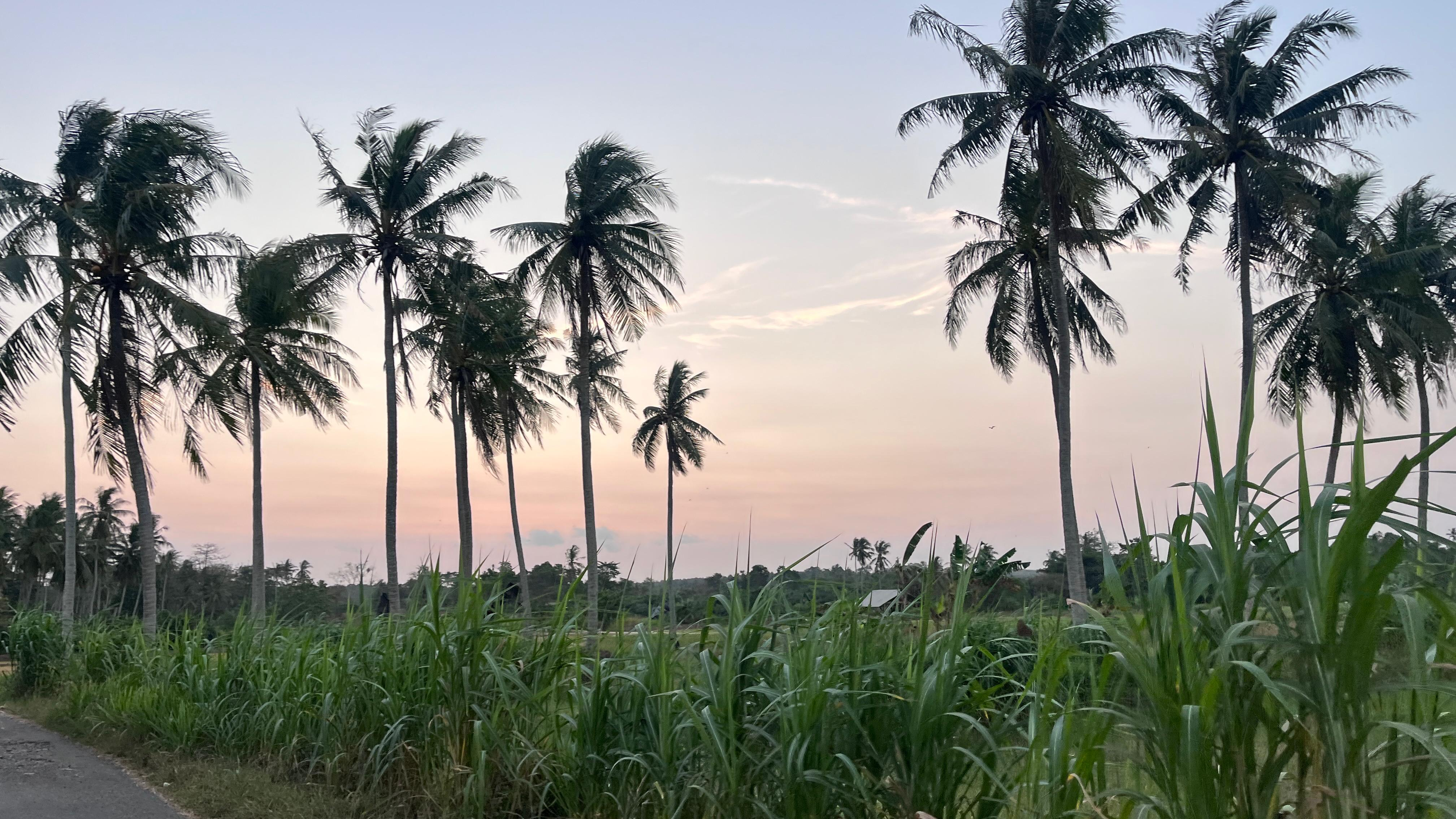 Pemandangan 2