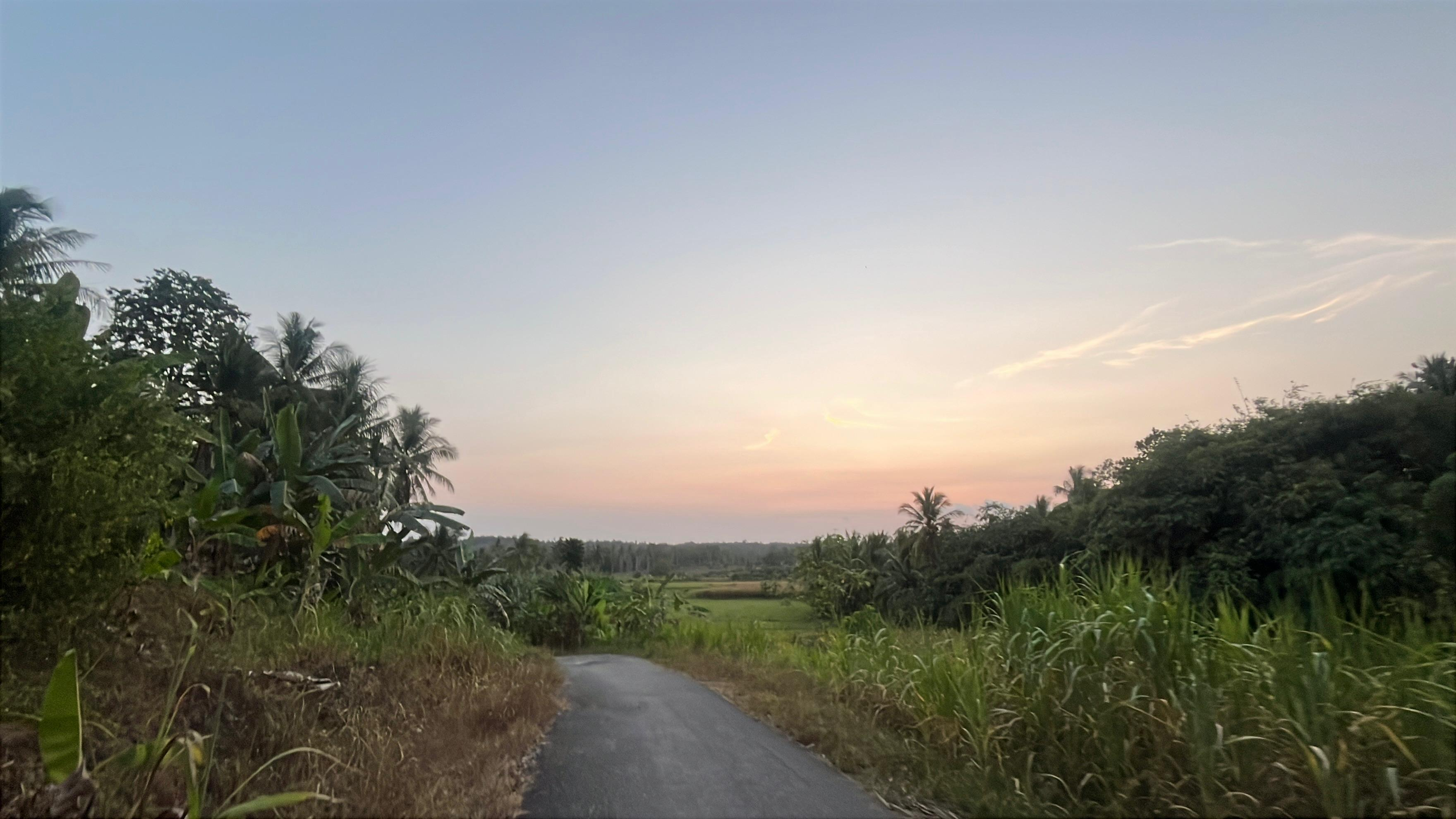 Pemandangan 3